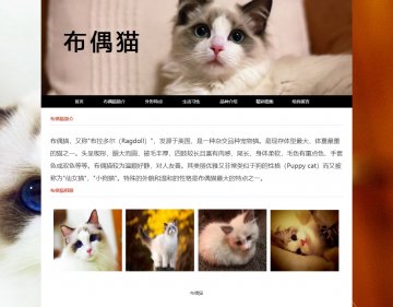 布偶猫猫咪 宠物主题网页设计html源码 大作业
